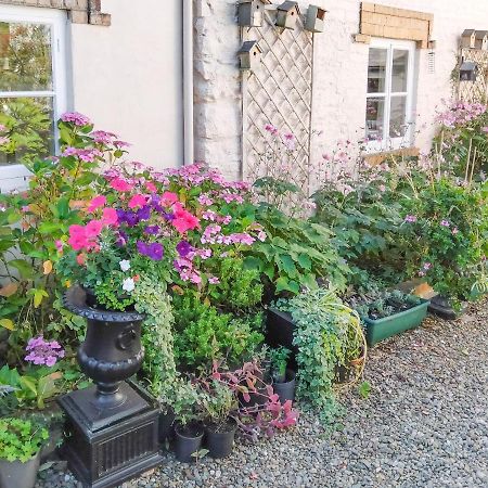 The Tower Cottage Llangollen Esterno foto