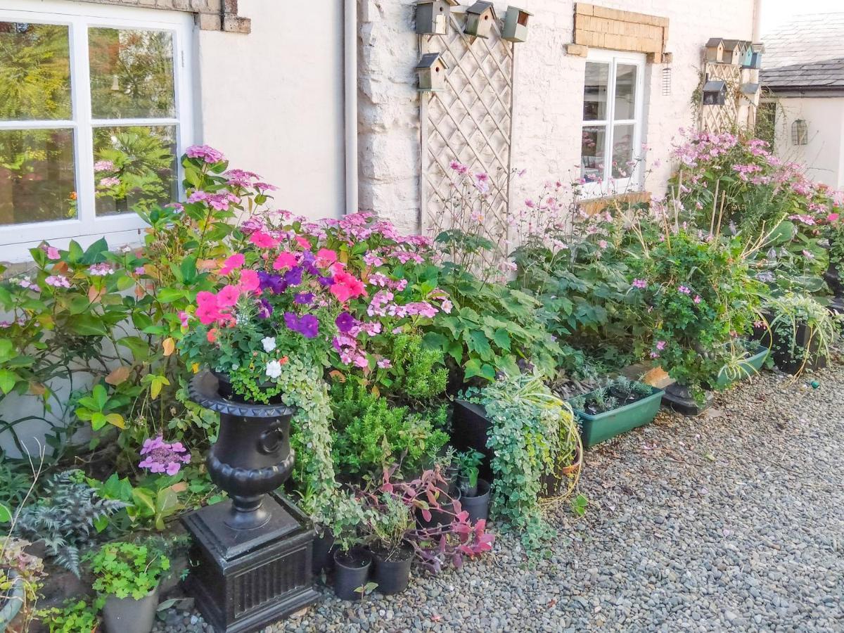 The Tower Cottage Llangollen Esterno foto